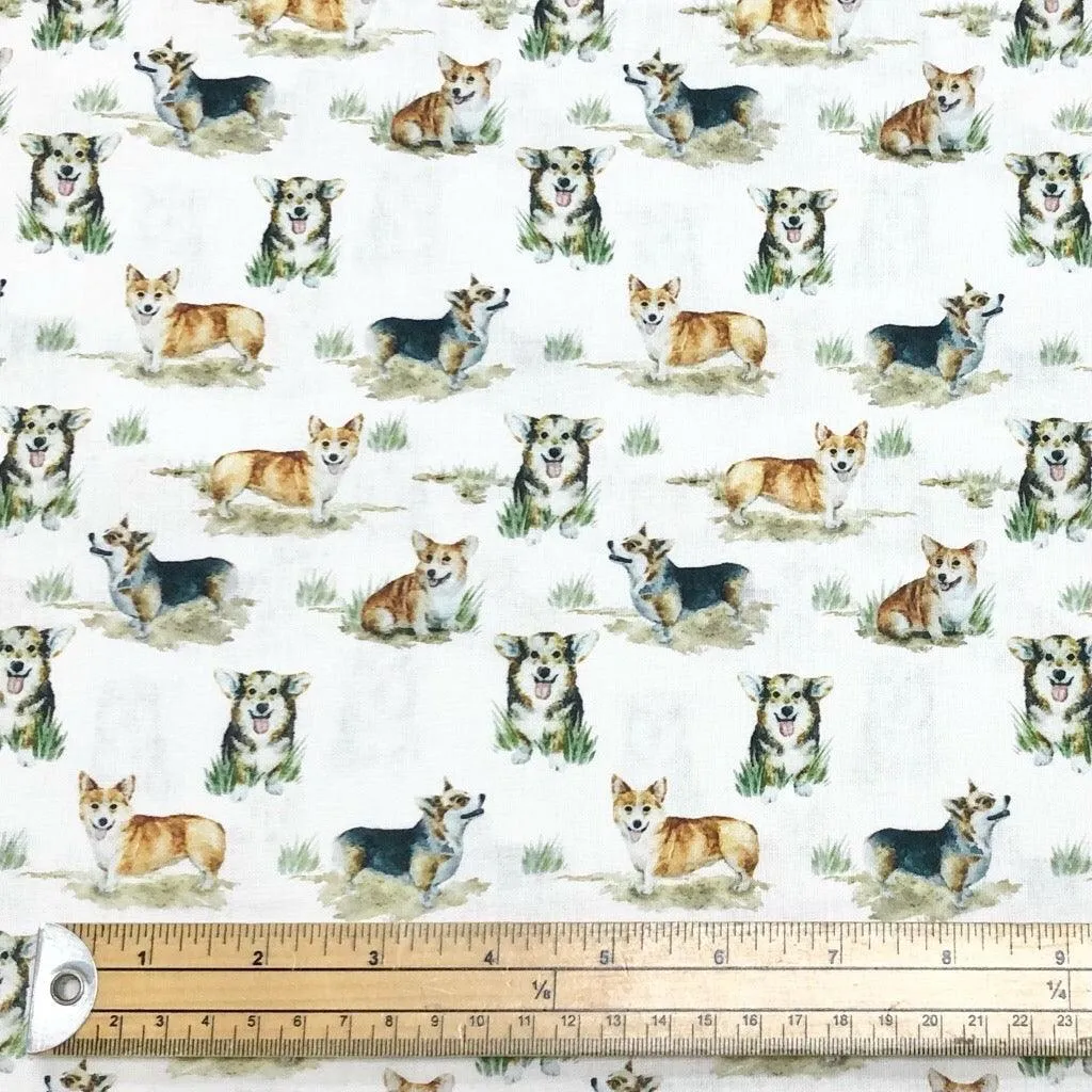 Corgis on White Cotton Fabric